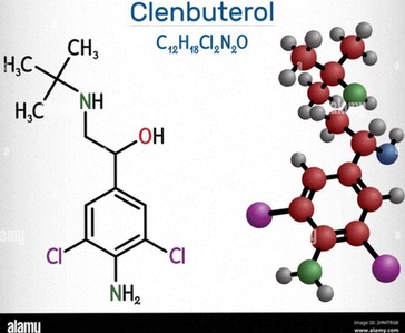 clenbuterolo generico