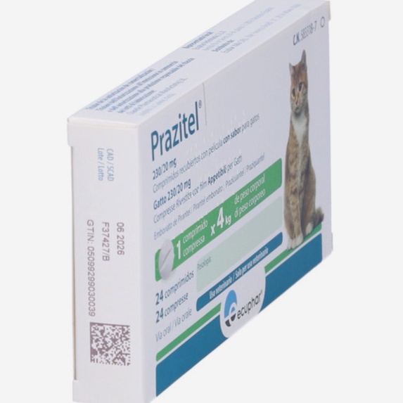 praziquantel