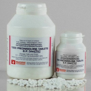 prednisolone