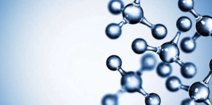 salbutamol
